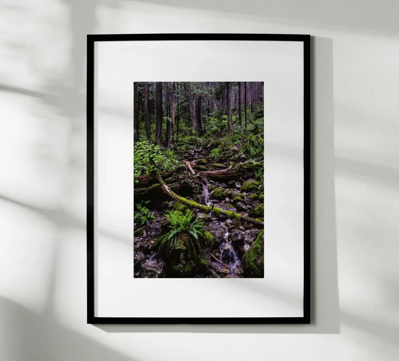 Canada 1 poster da Philipp Reinhard