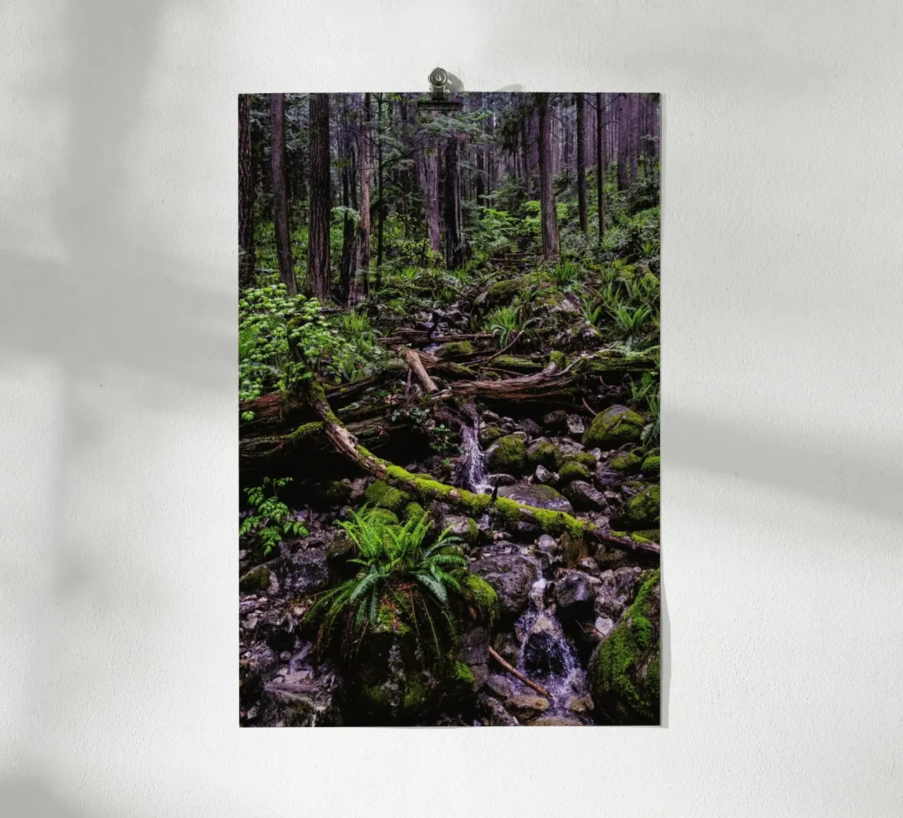 Canada 1 poster da Philipp Reinhard