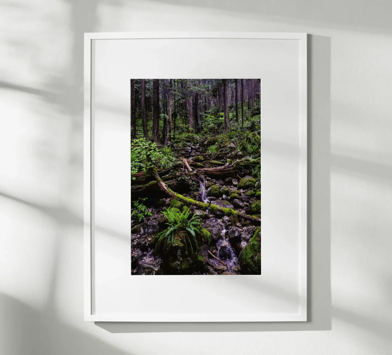 Canada 1 poster da Philipp Reinhard