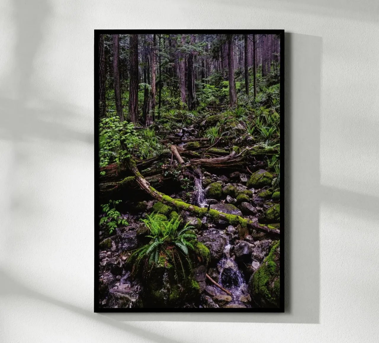 Canada 1 poster da Philipp Reinhard