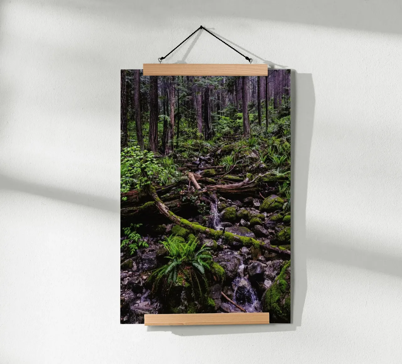 Canada 1 poster da Philipp Reinhard