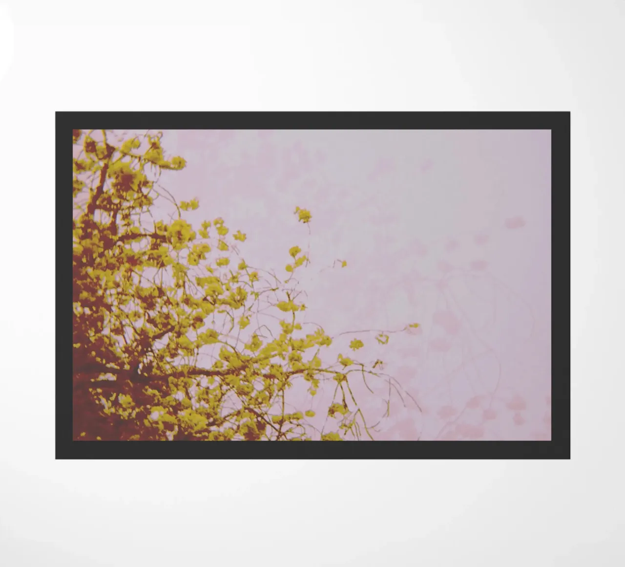 Ghost doormat by Cassia Beck Photography