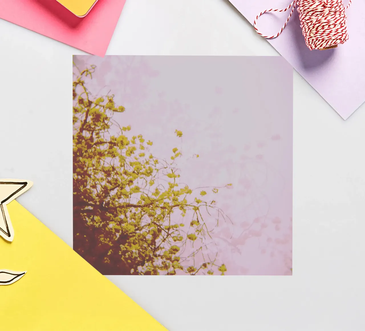 Ghost sticker by Cassia Beck Photography