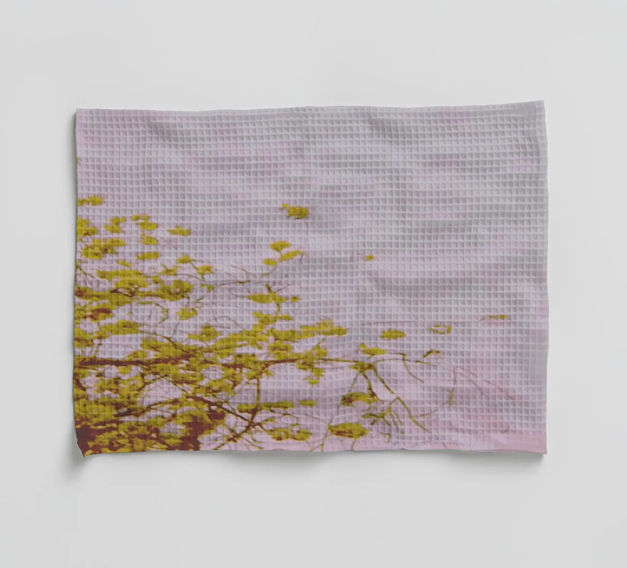 Fantôme torchon de Cassia Beck Photography