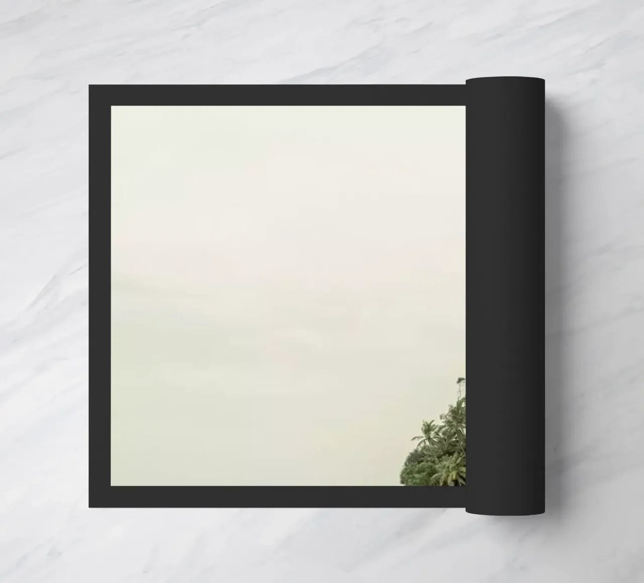 Sun Dance zerbino da Shot By Clint