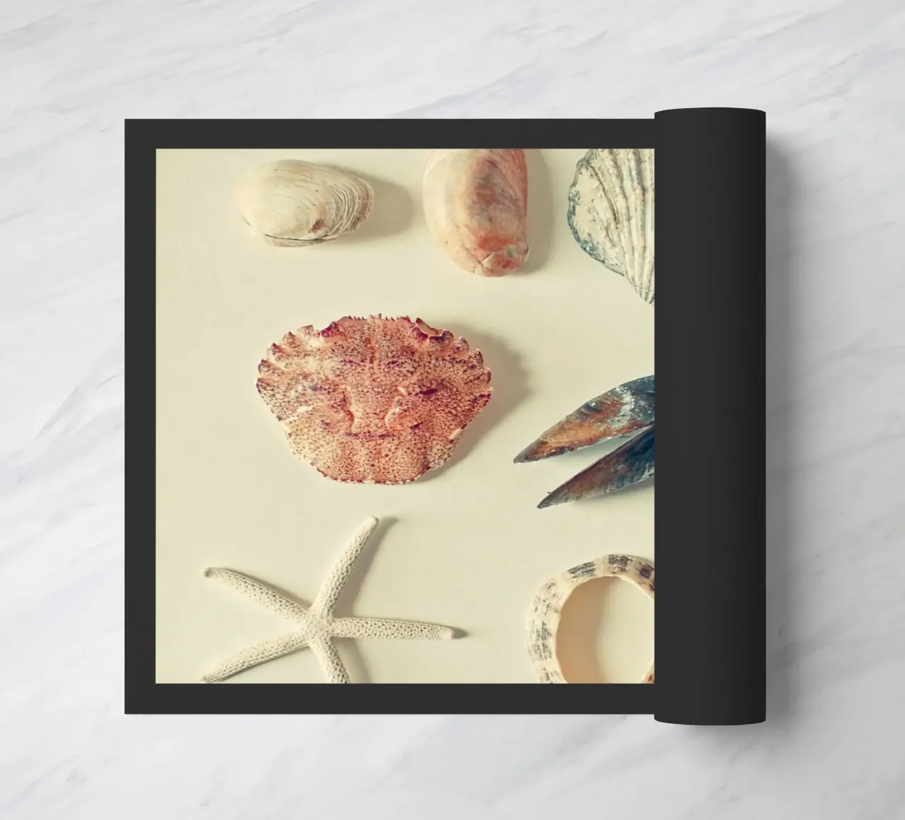 Dal mare zerbino da Cassia Beck Photography