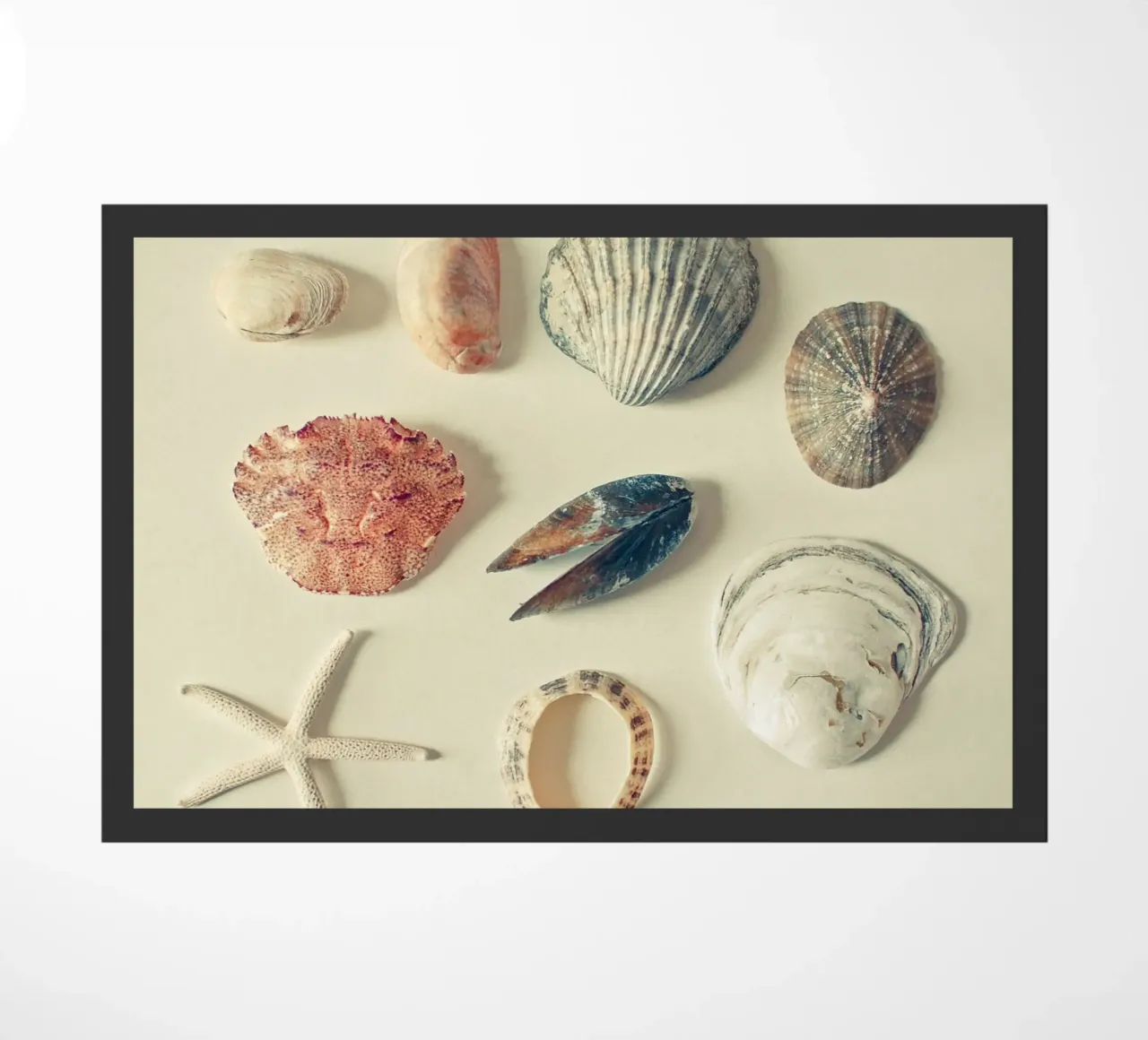 Dal mare zerbino da Cassia Beck Photography