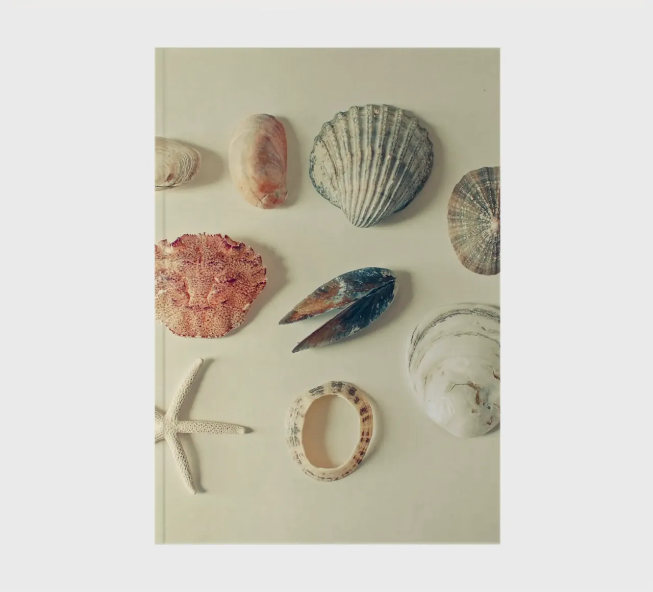 From the Sea notebook by Cassia Beck Photography