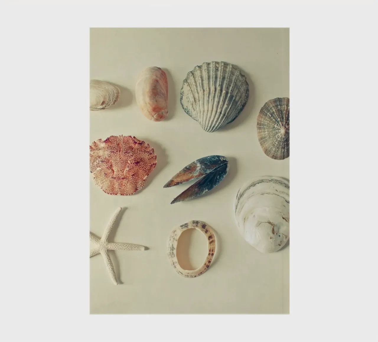 From the Sea notebook by Cassia Beck Photography