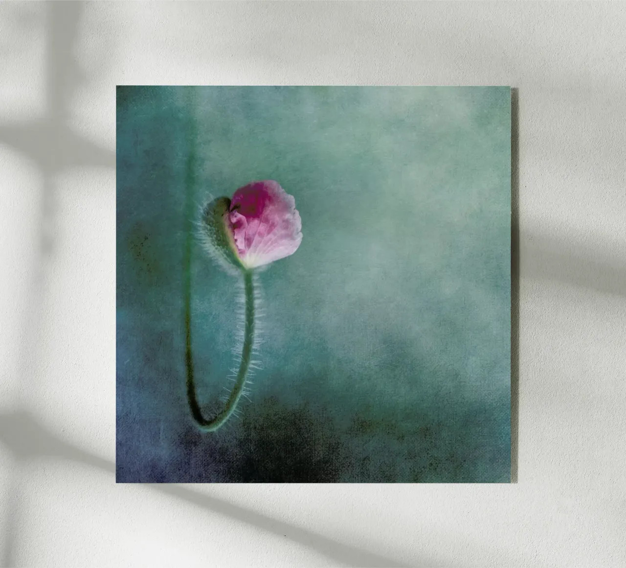 Trust - Priska Wettstein plexiglass da Pictufy