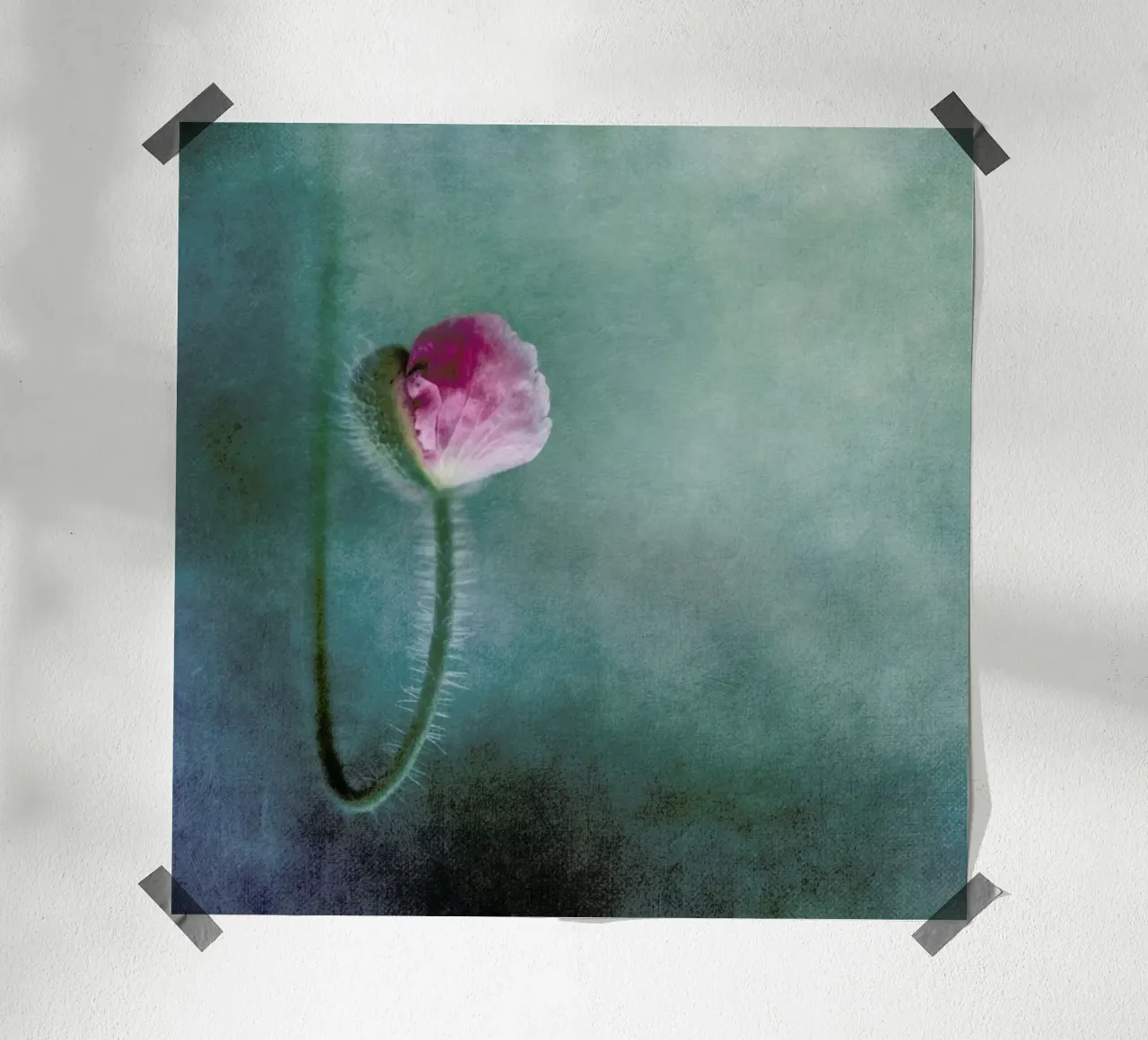 Trust - Priska Wettstein poster con telaio in legno da Pictufy