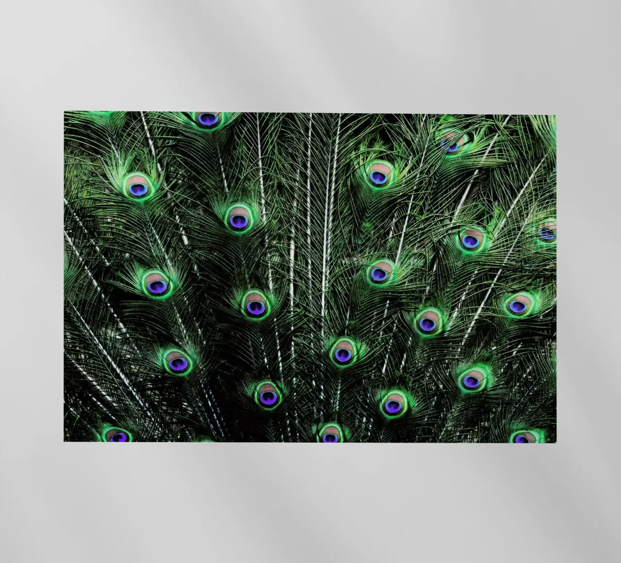 Glory pellicola backlit da Robin Delean