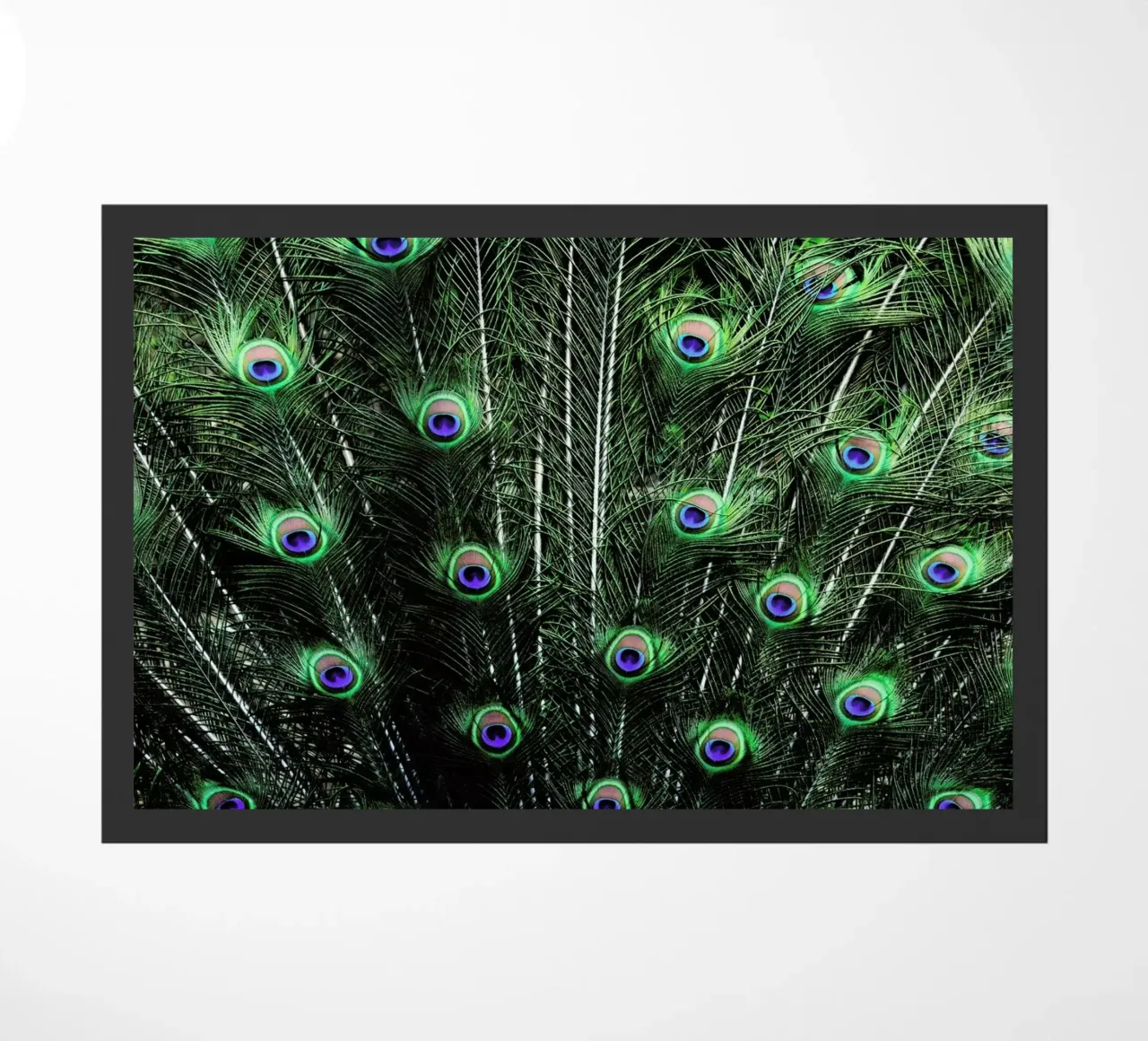 Glory zerbino da Robin Delean