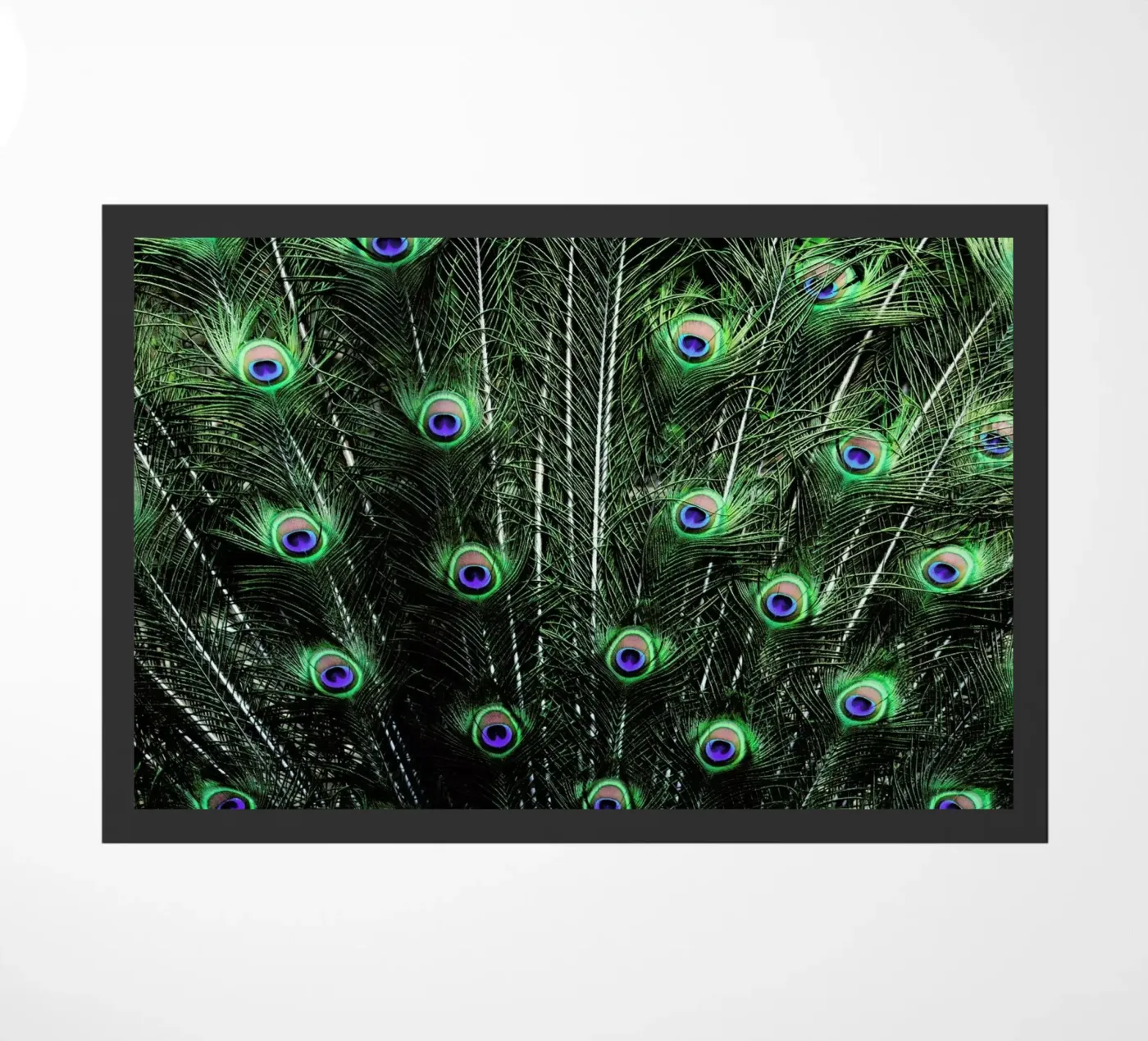 Glory zerbino da Robin Delean