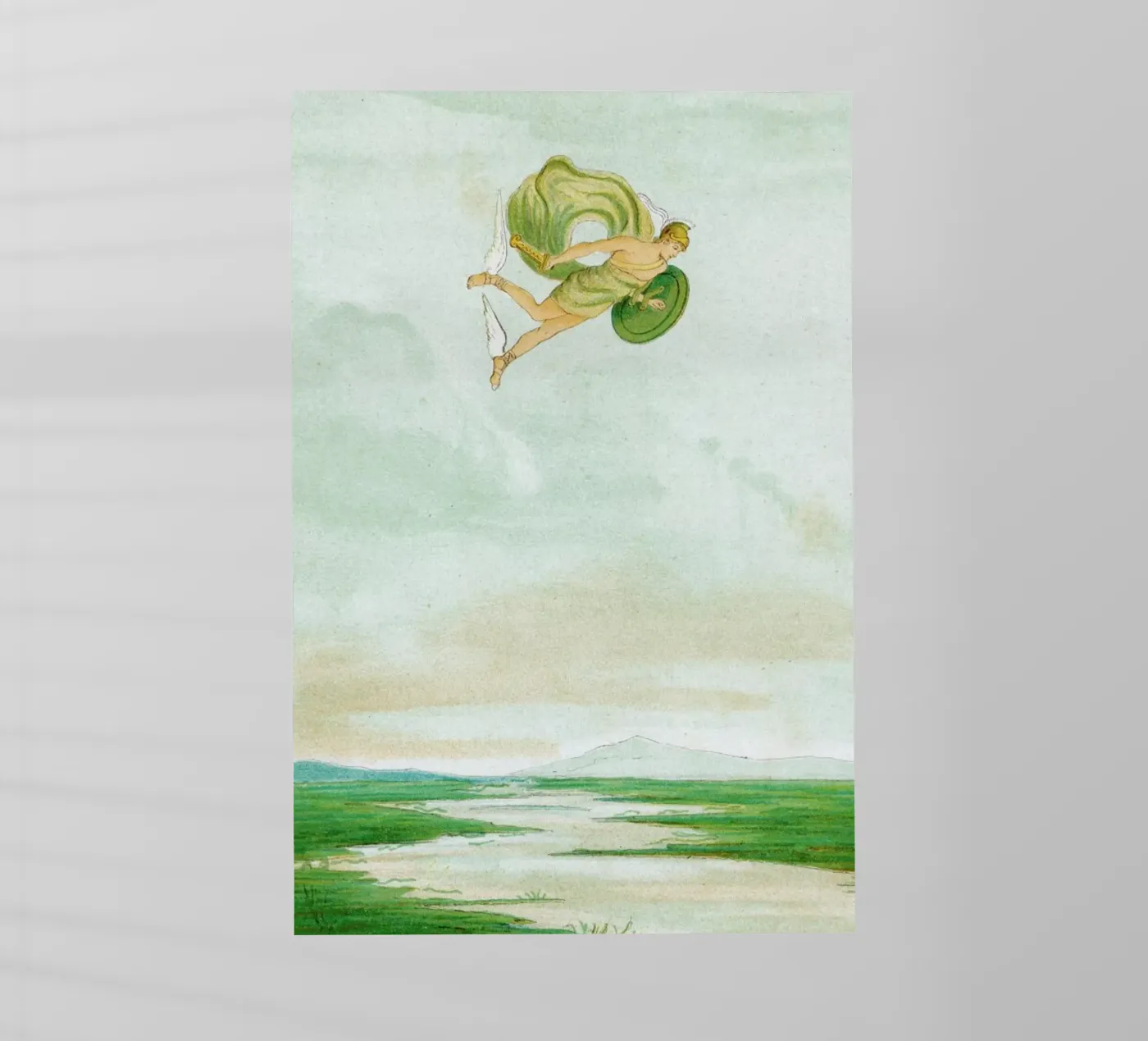 Perseus pellicola backlit da Flora & Fauna