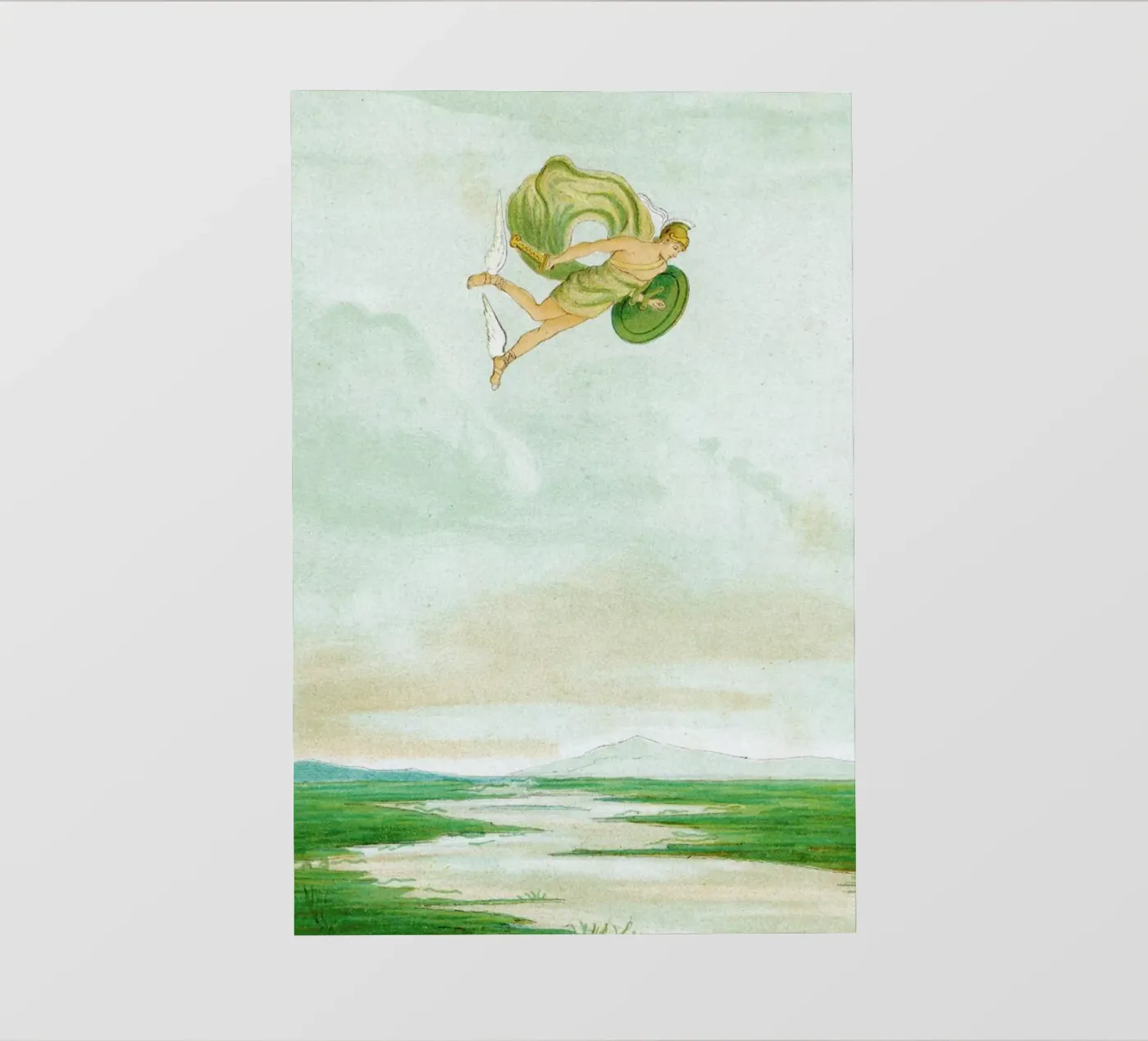 Perseus pellicola backlit da Flora & Fauna