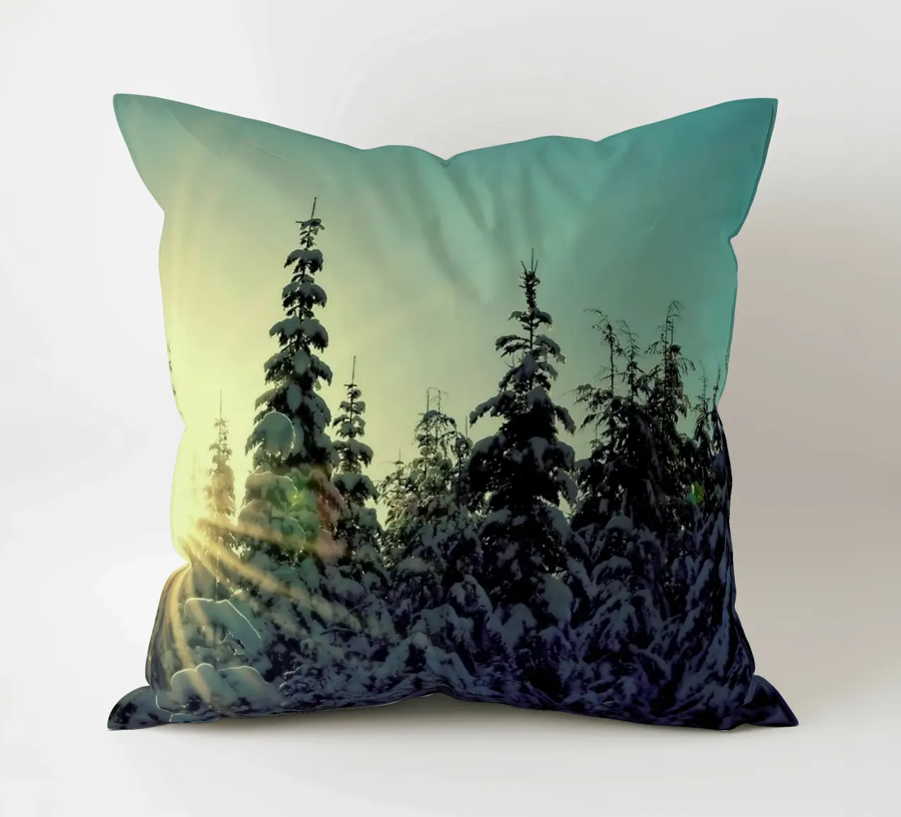 Shine Bright Kissen von Robin Delean