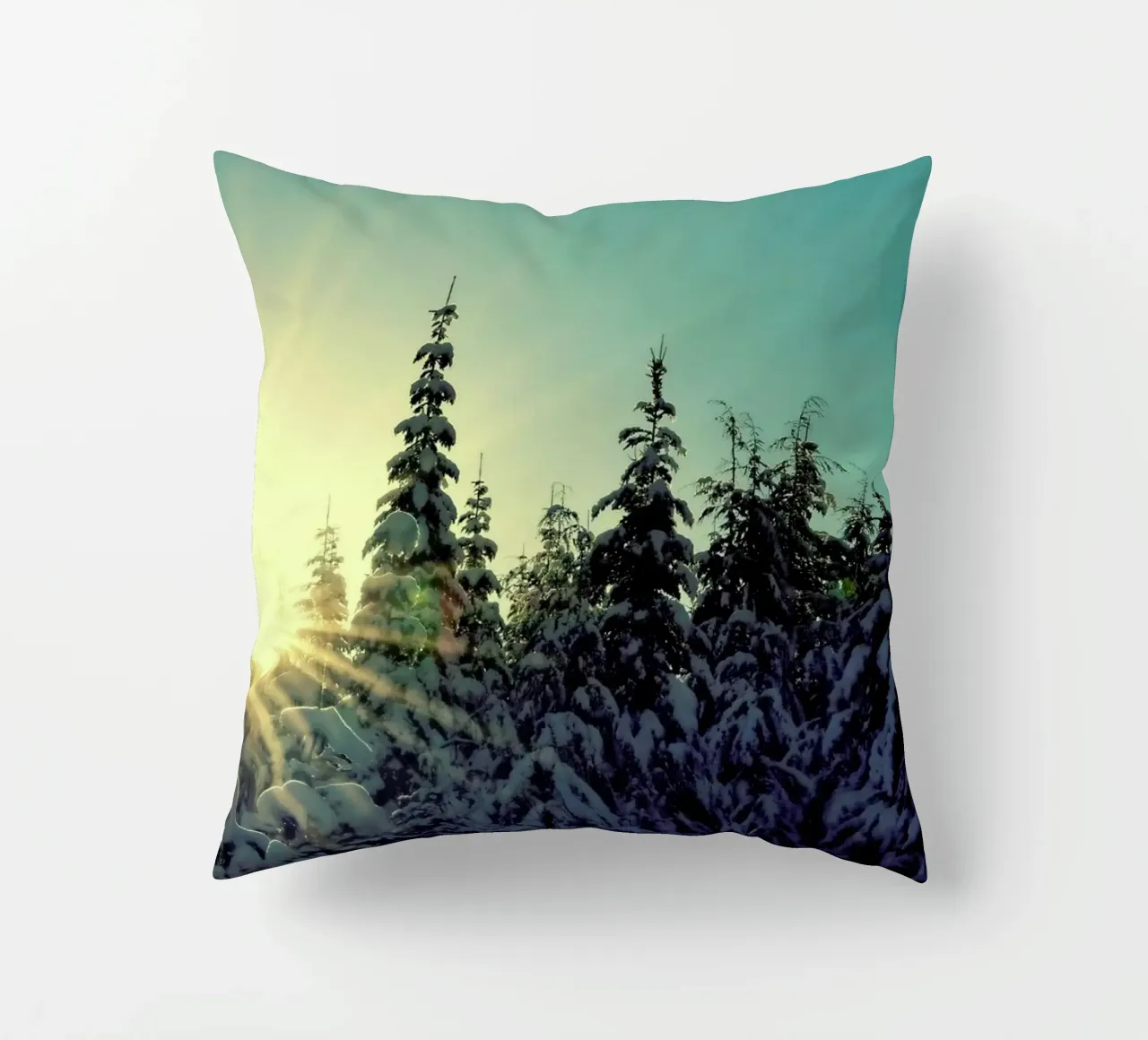 Shine Bright Kissen von Robin Delean