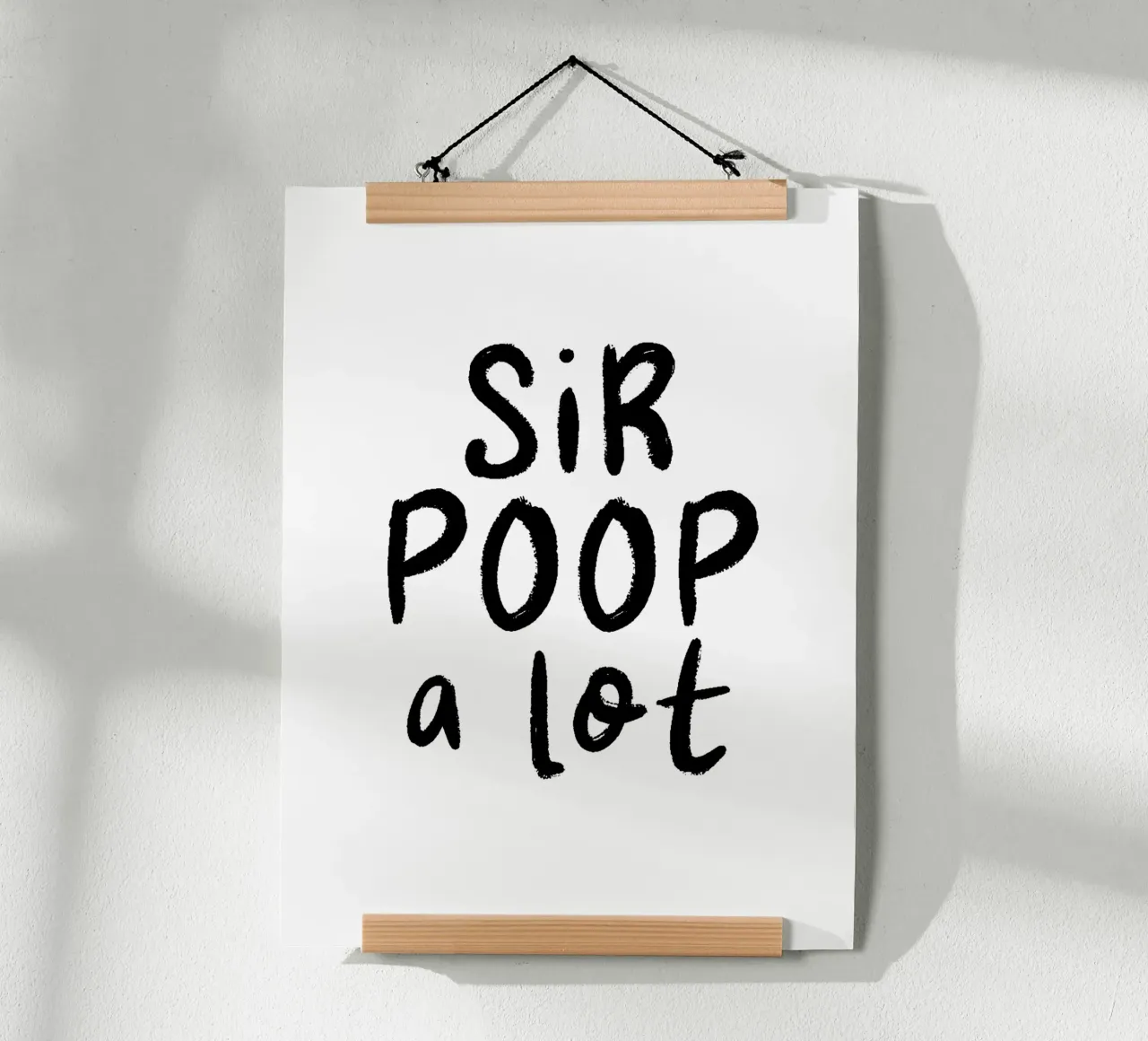 Sir Poop a lot poster de color&shape