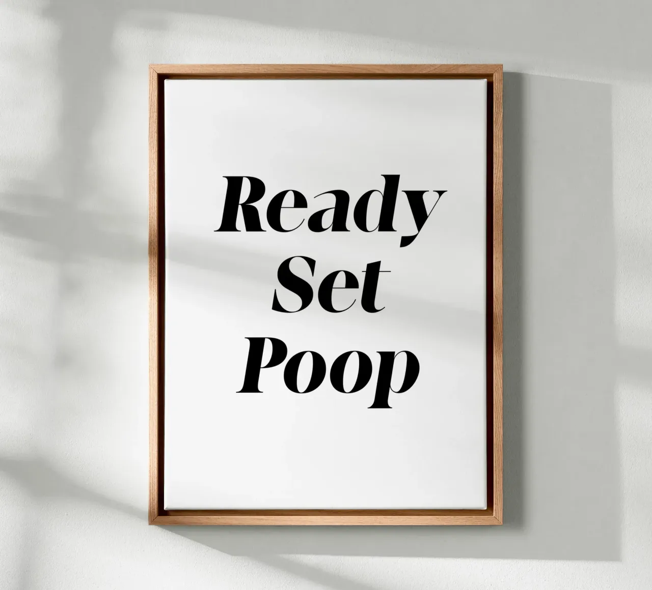 Ready Set Poop tela con Cornice a cassetta da color&shape