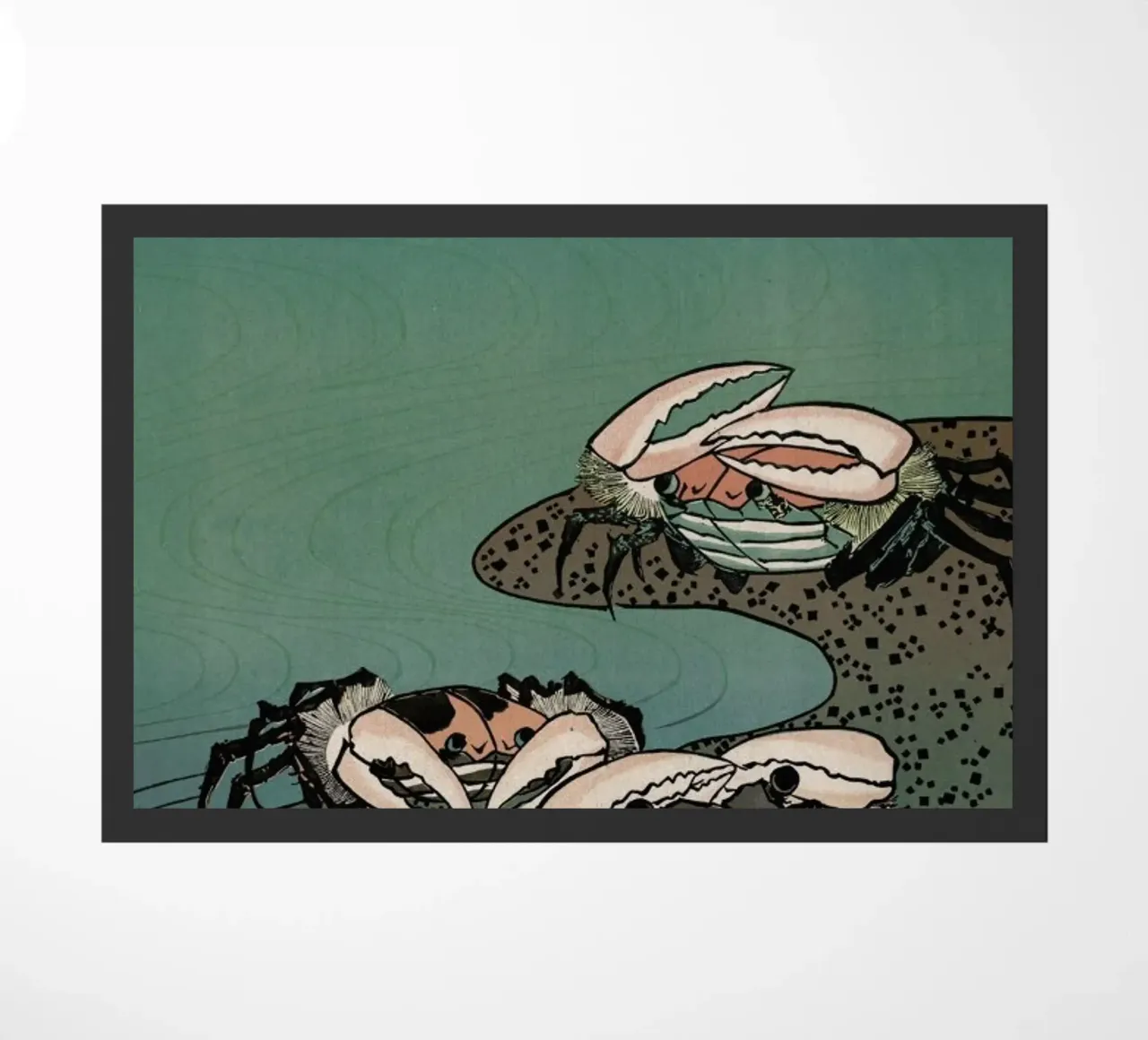 Saltwater Crabs zerbino da Flora & Fauna