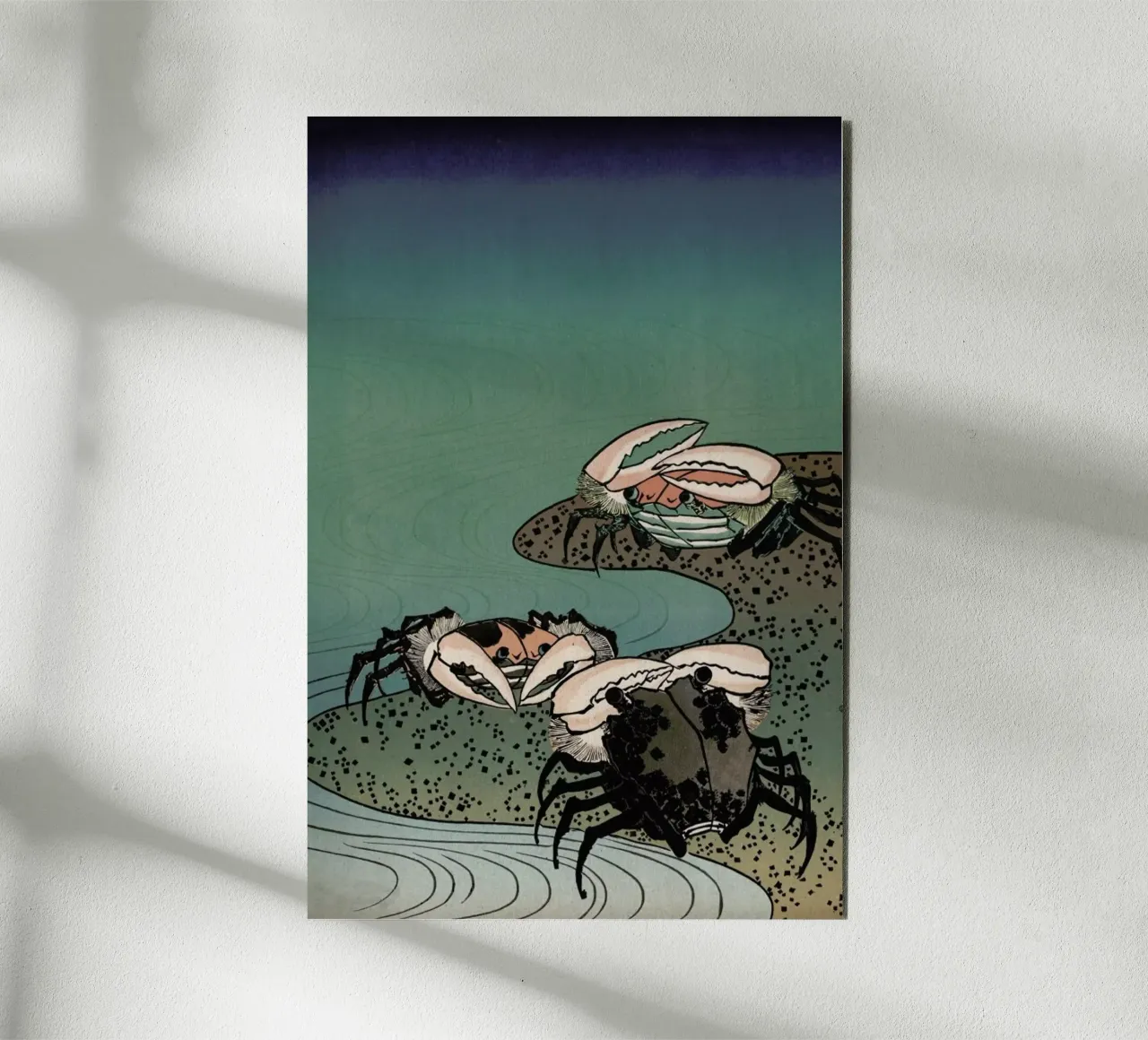 Saltwater Crabs alluminio dibond da Flora & Fauna