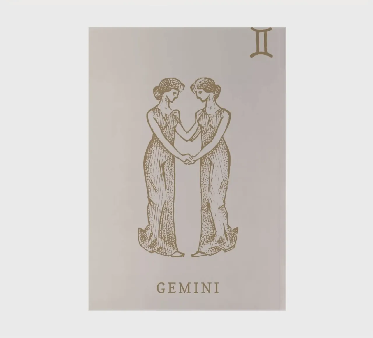 Gemini notebook by Flora & Fauna