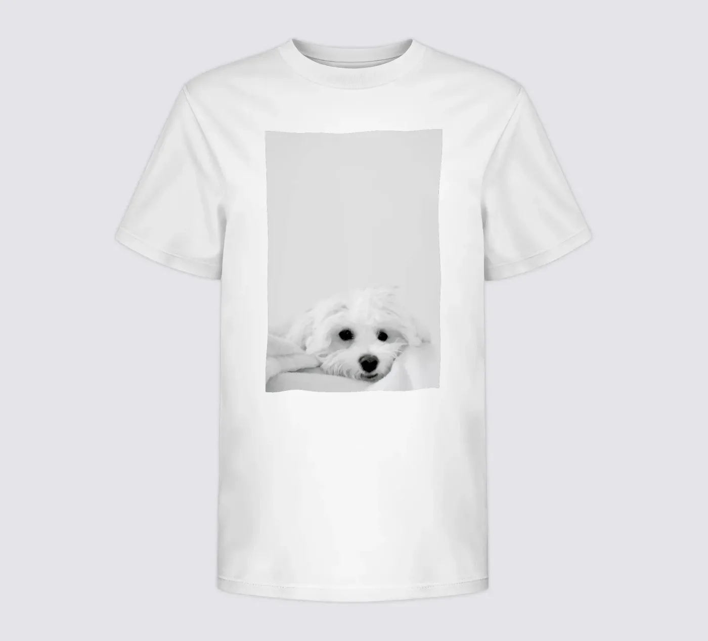Walli t-shirt bambini da XOXO Arte