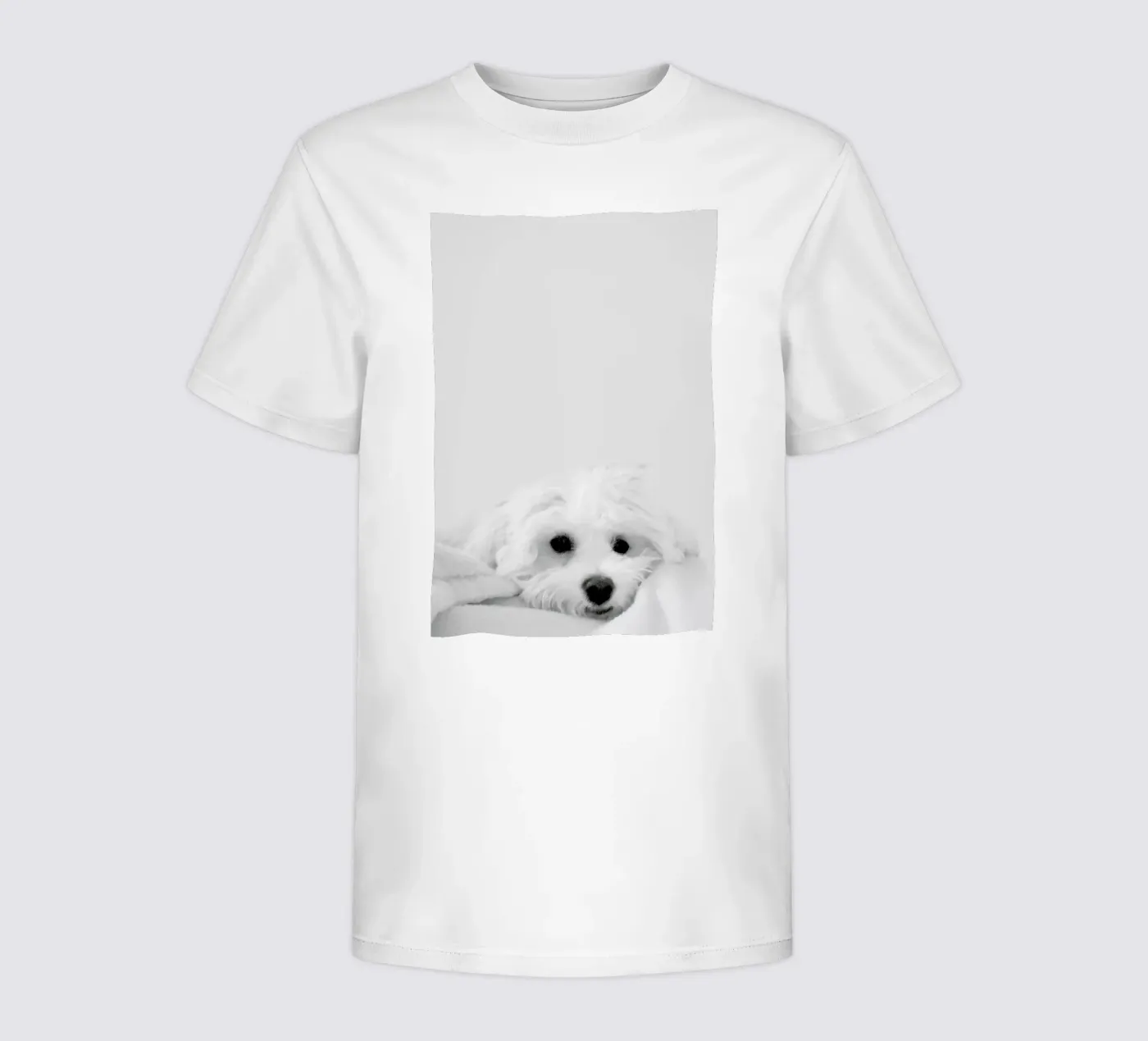 Walli Kinder T-Shirt von XOXO Arte