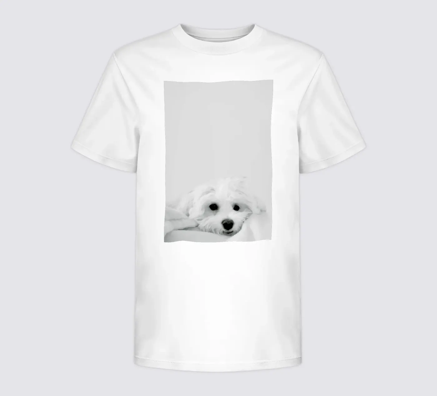 Walli Kinder T-Shirt von XOXO Arte