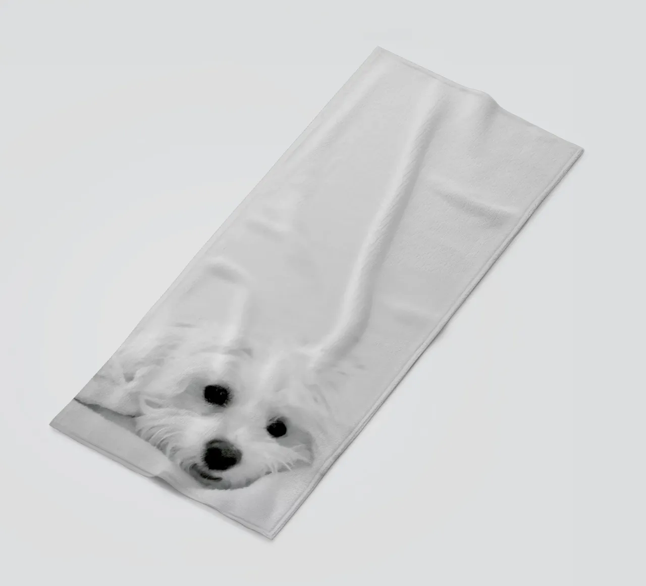 Walli telo mare da XOXO Arte