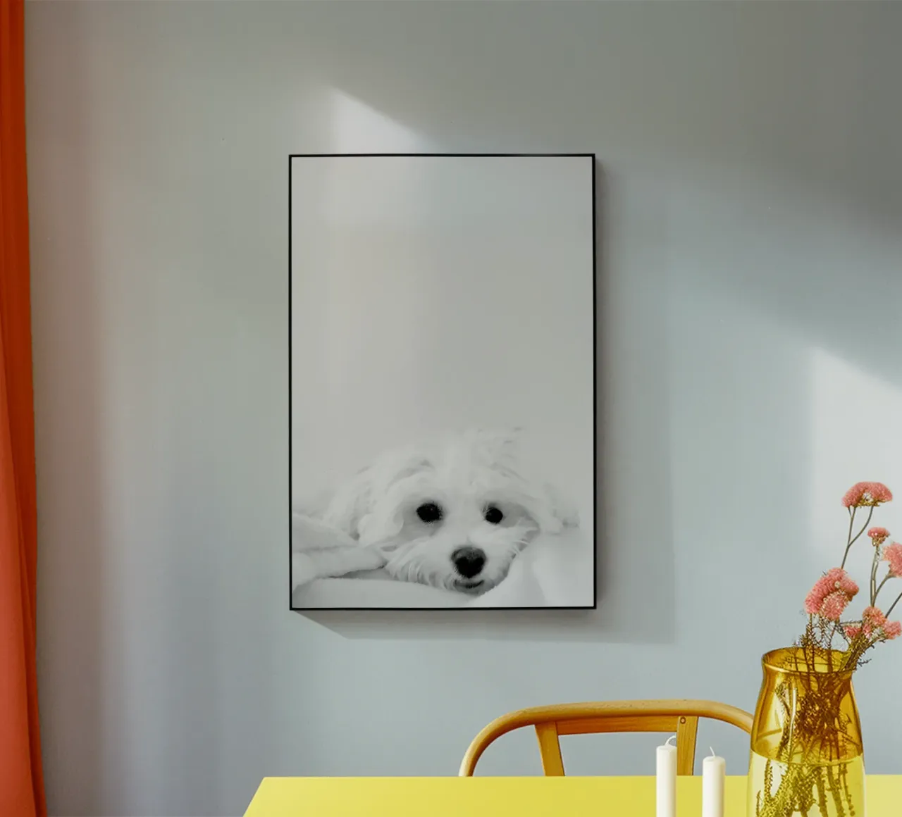 Walli plexiglass da XOXO Arte