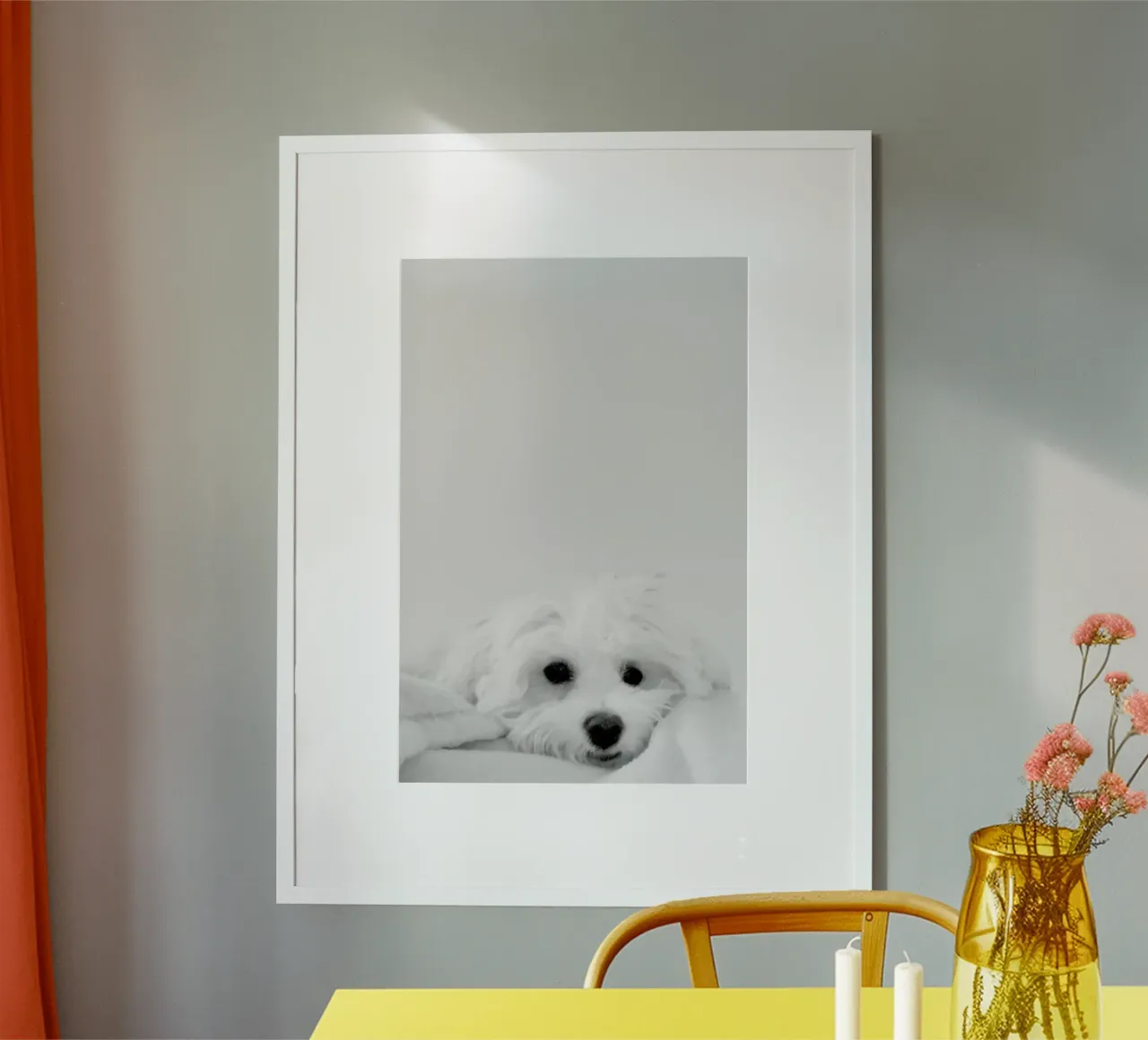 Walli carta hahnemühle da XOXO Arte