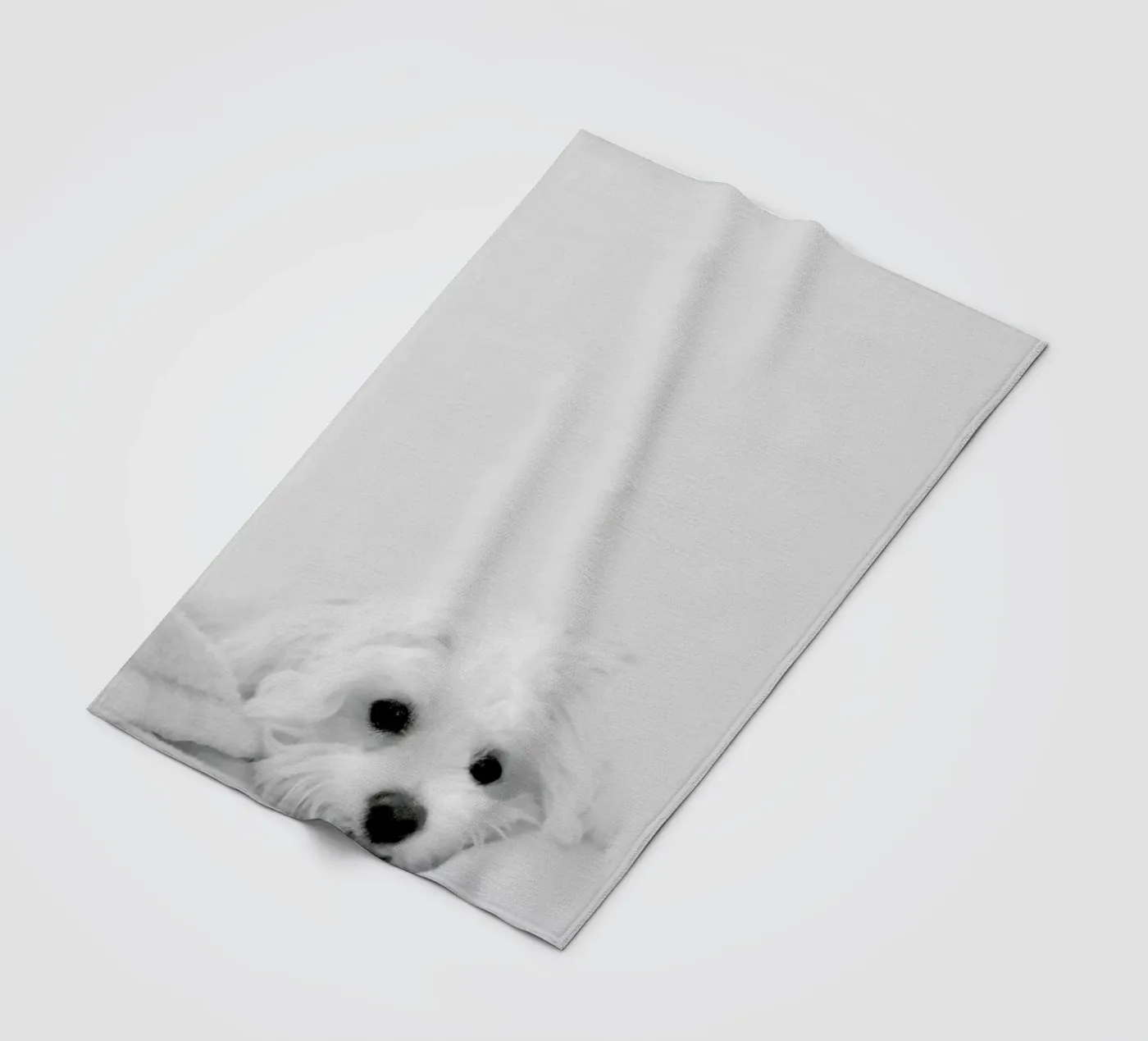 Walli coperta in pile da XOXO Arte