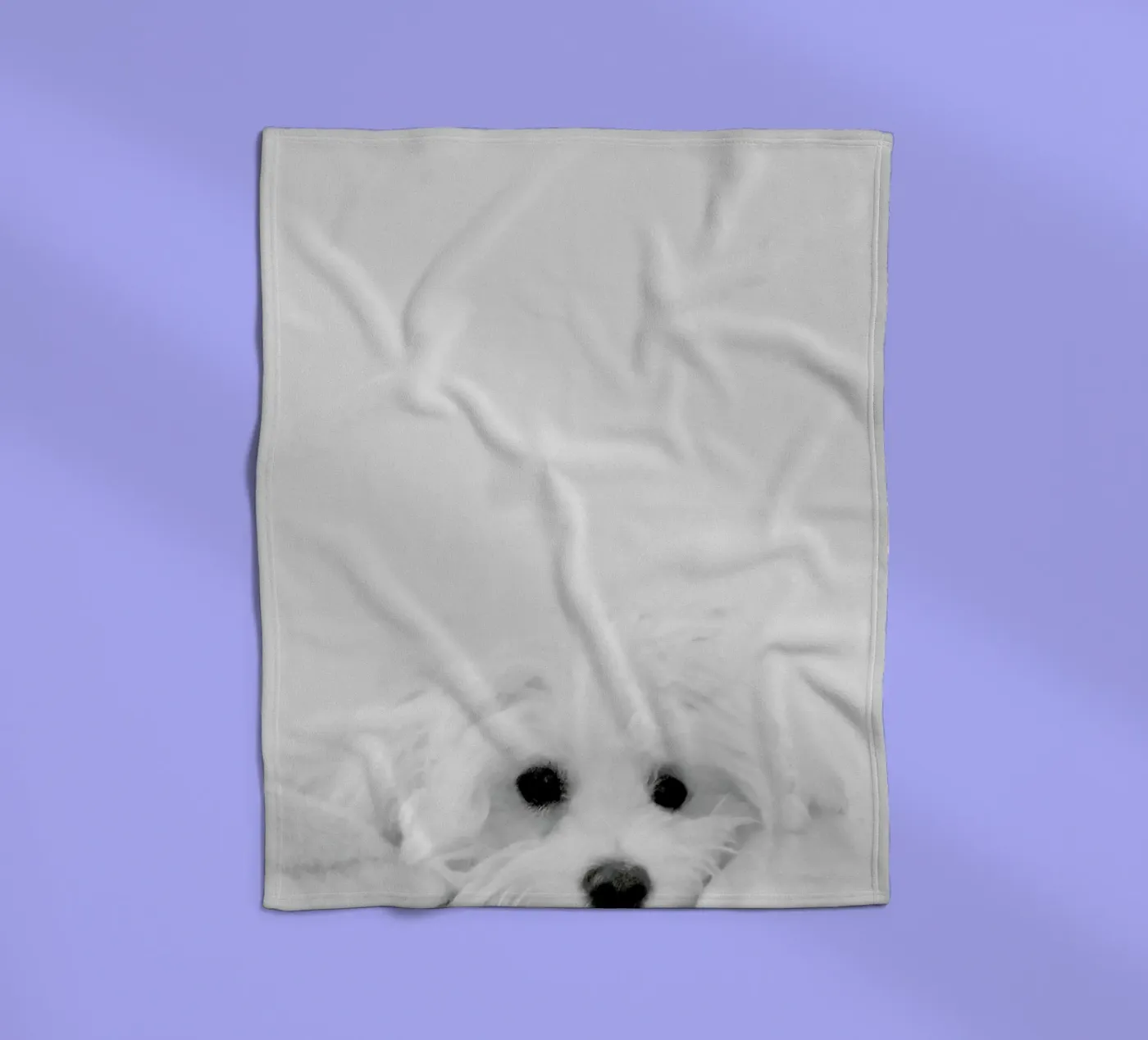 Walli coperta in pile da XOXO Arte