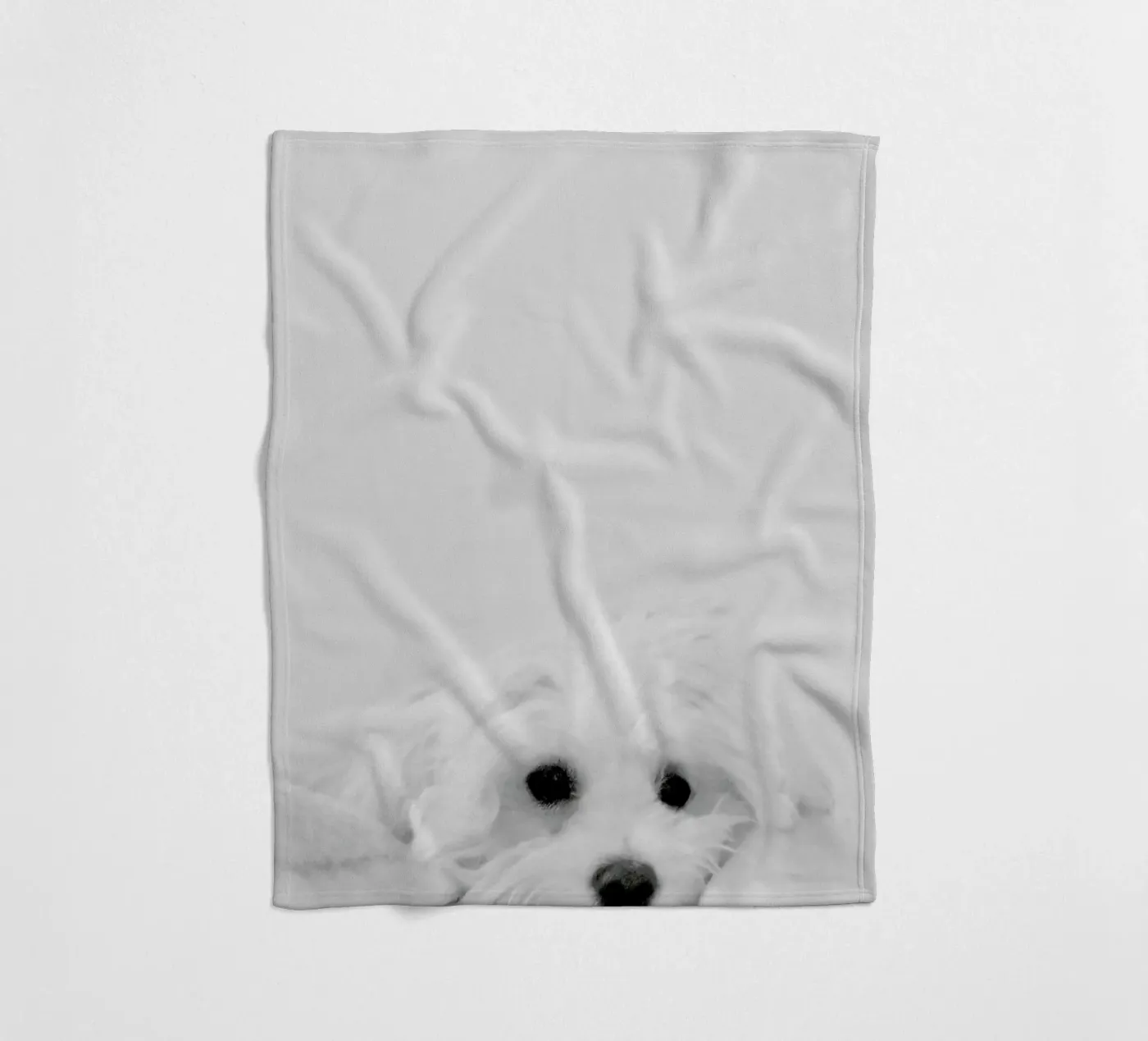 Walli coperta in pile da XOXO Arte