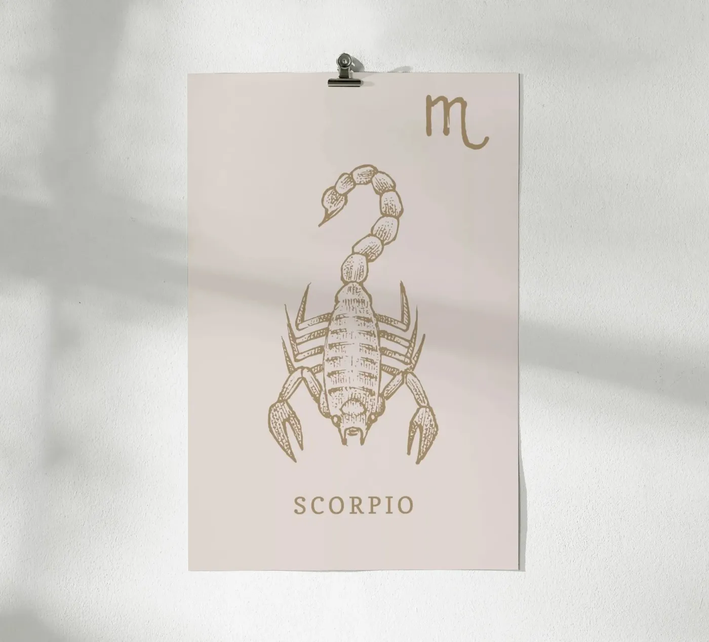 Scorpio Poster von Flora & Fauna