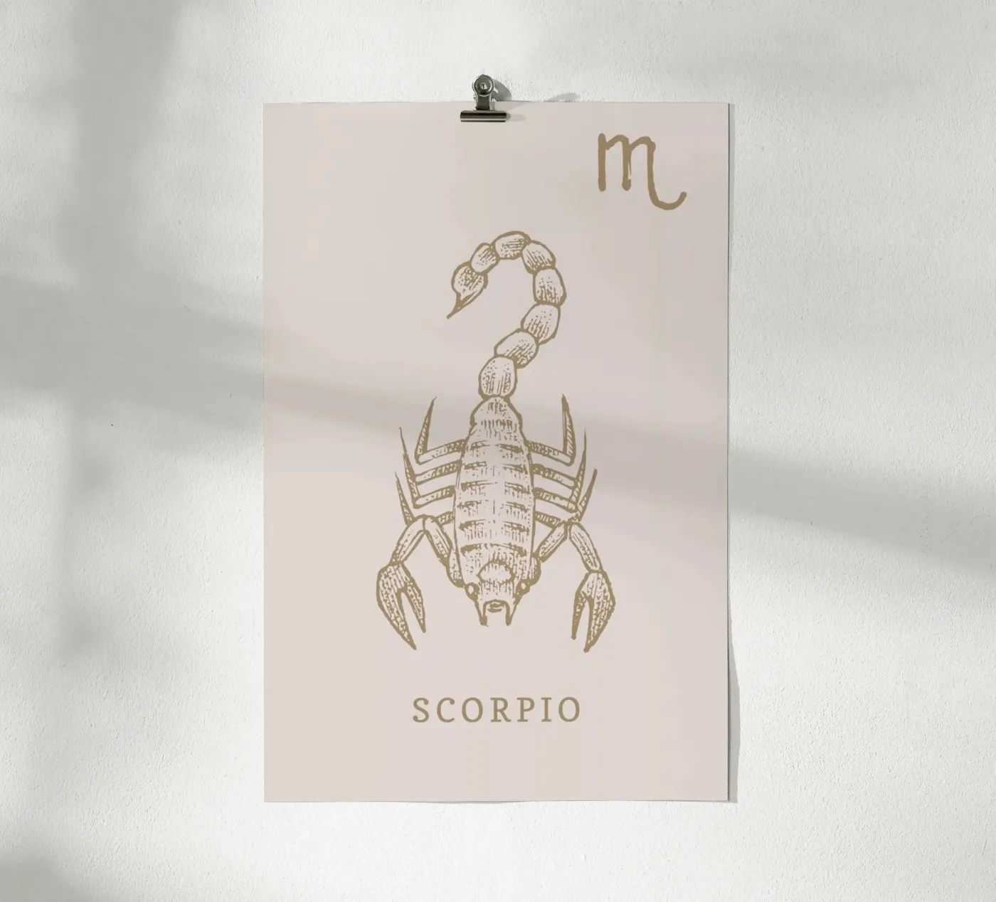 Scorpio poster by Flora & Fauna