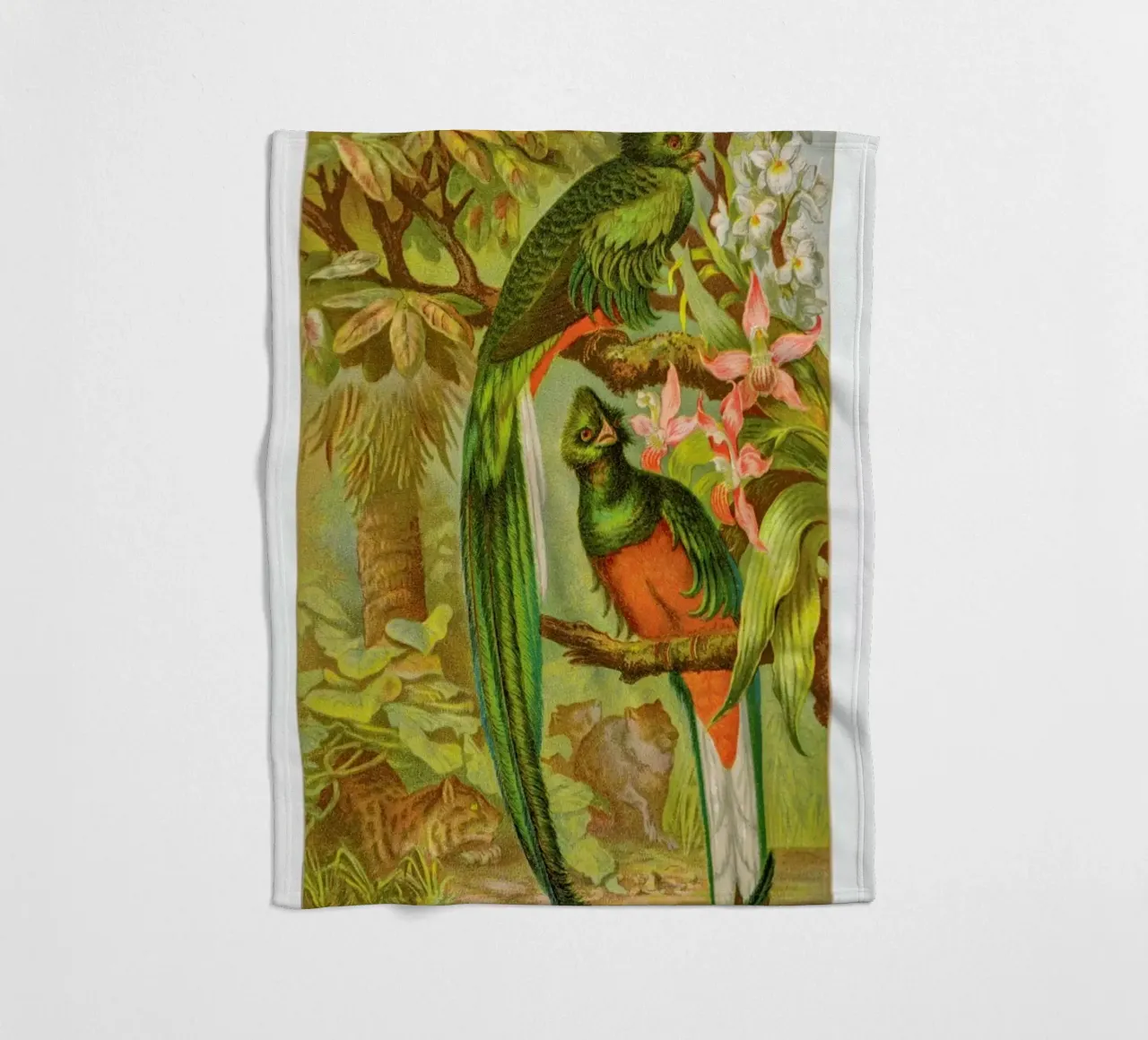 Native Birds coperta in pile da Flora & Fauna
