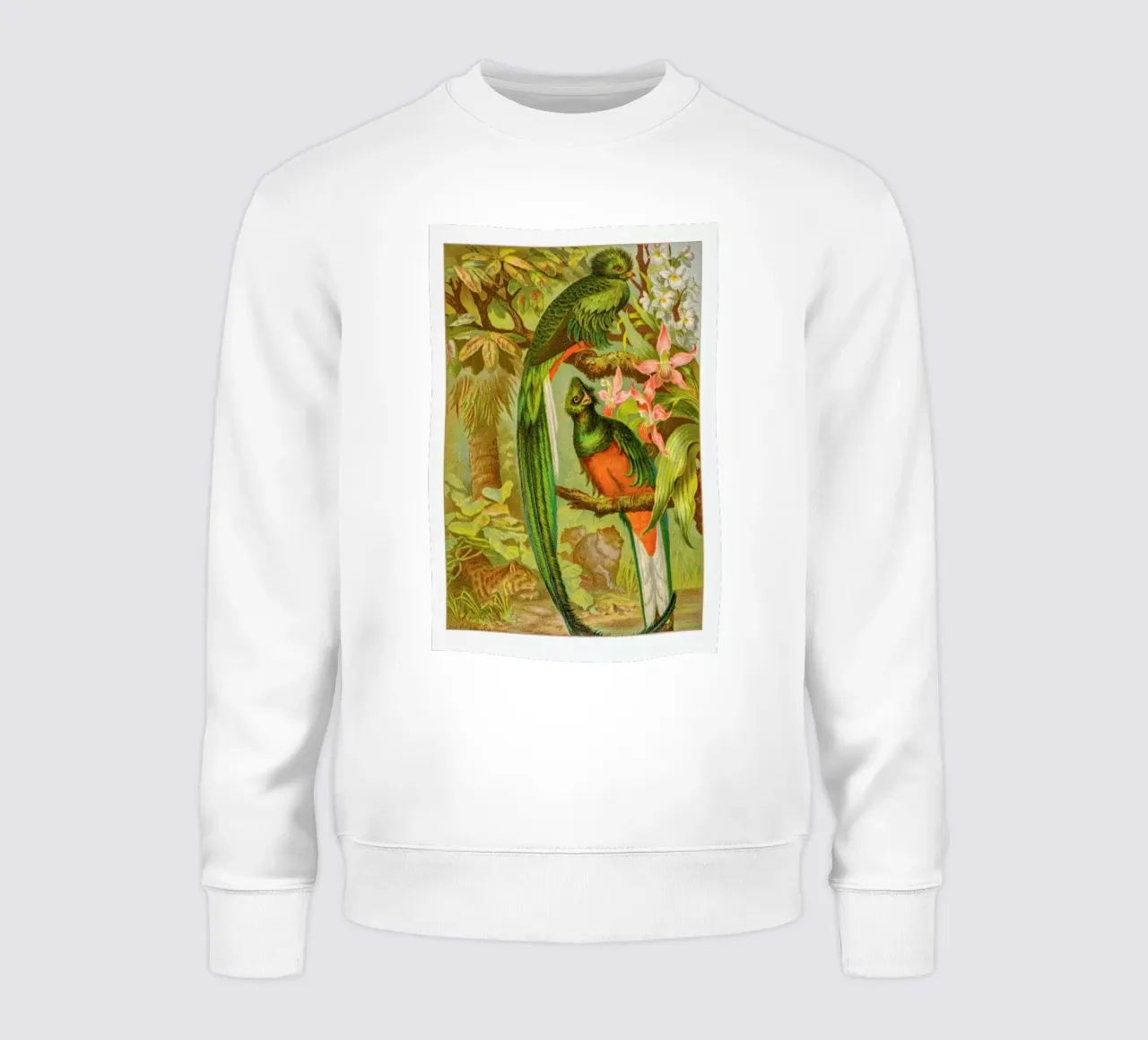 Native Birds felpa da Flora & Fauna