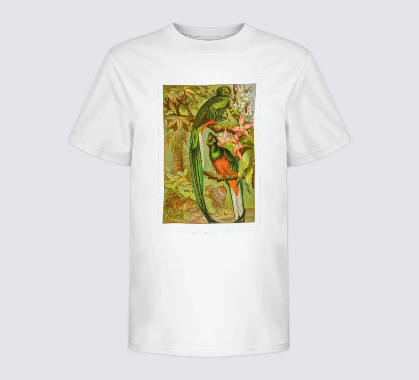 Native Birds t-shirt bambini da Flora & Fauna