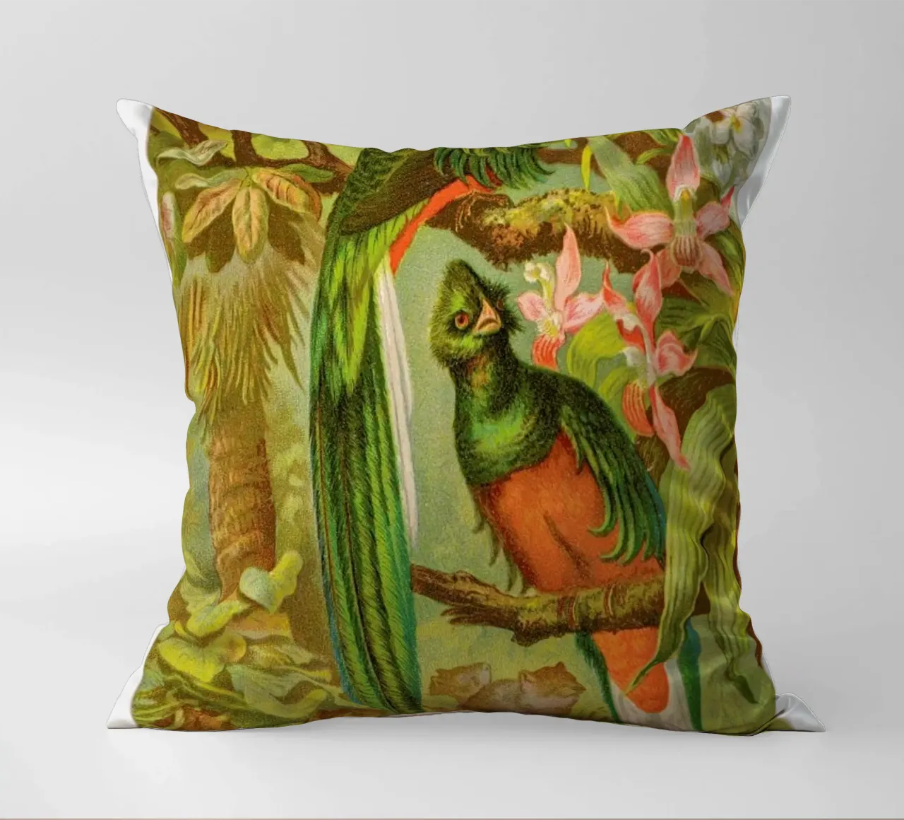 Native Birds cuscino da Flora & Fauna