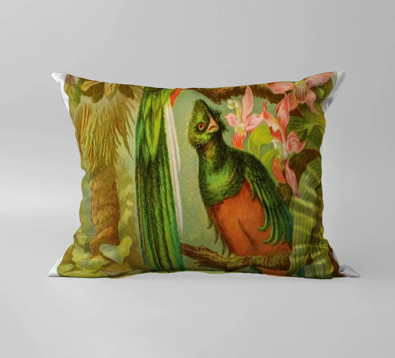 Native Birds cuscino da Flora & Fauna