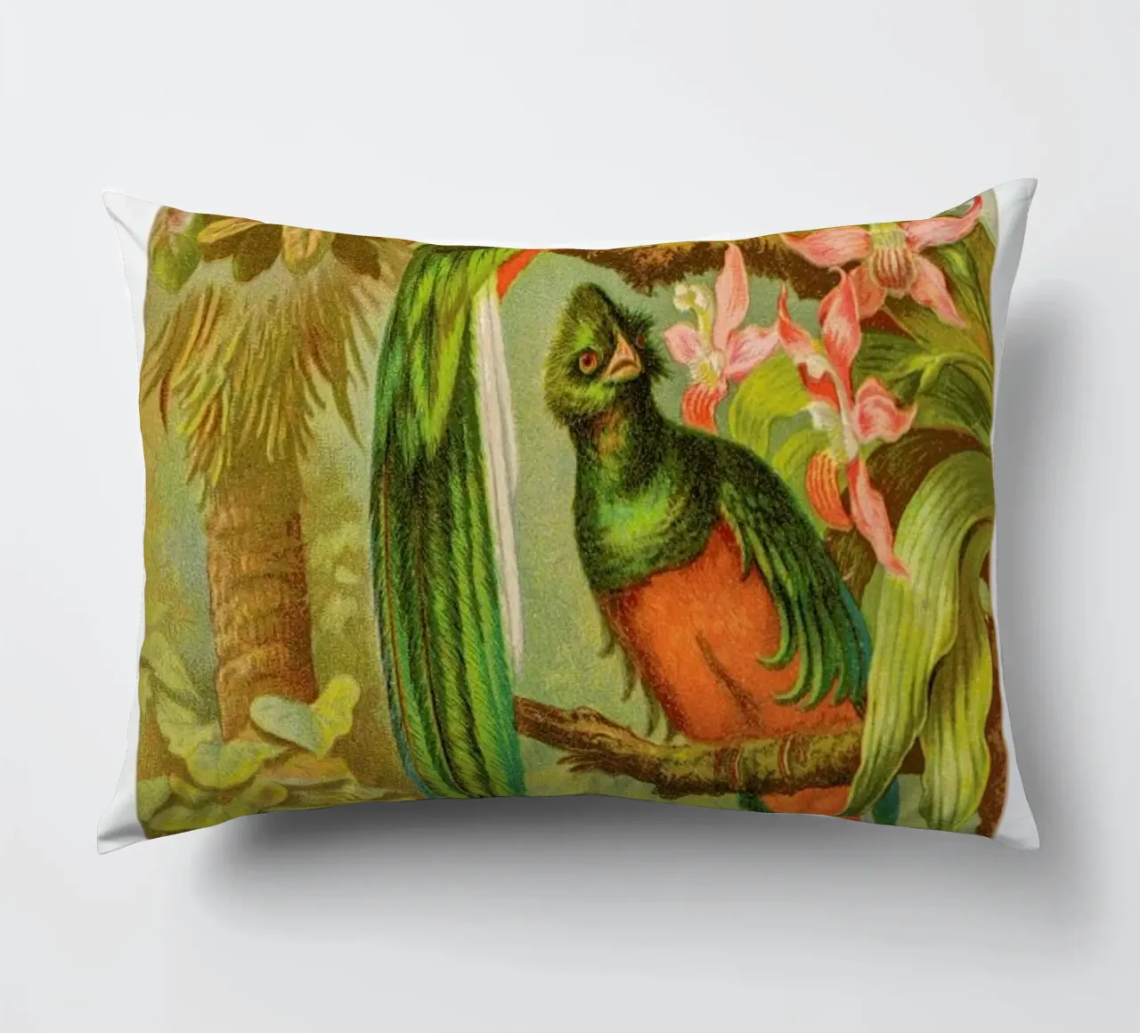 Native Birds cuscino da Flora & Fauna