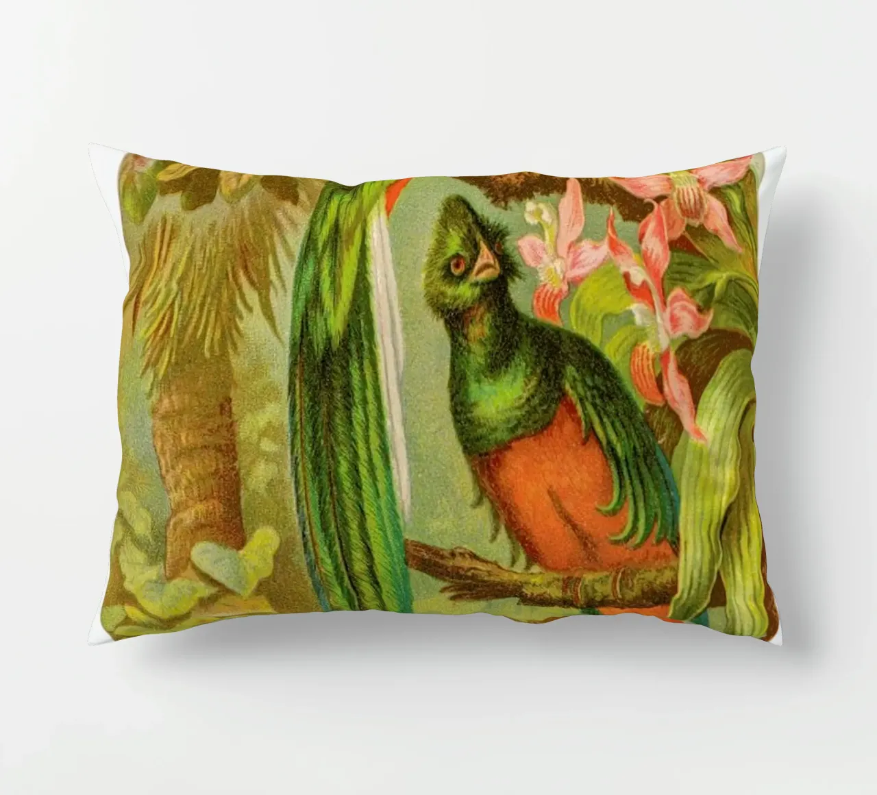 Native Birds cuscino da Flora & Fauna