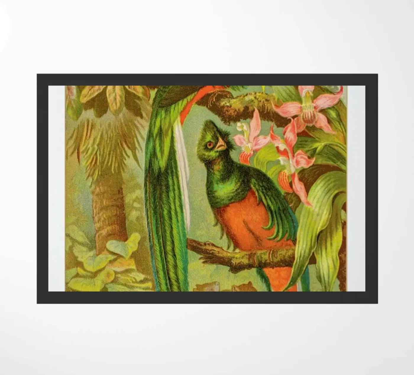 Native Birds deurmat van Flora & Fauna