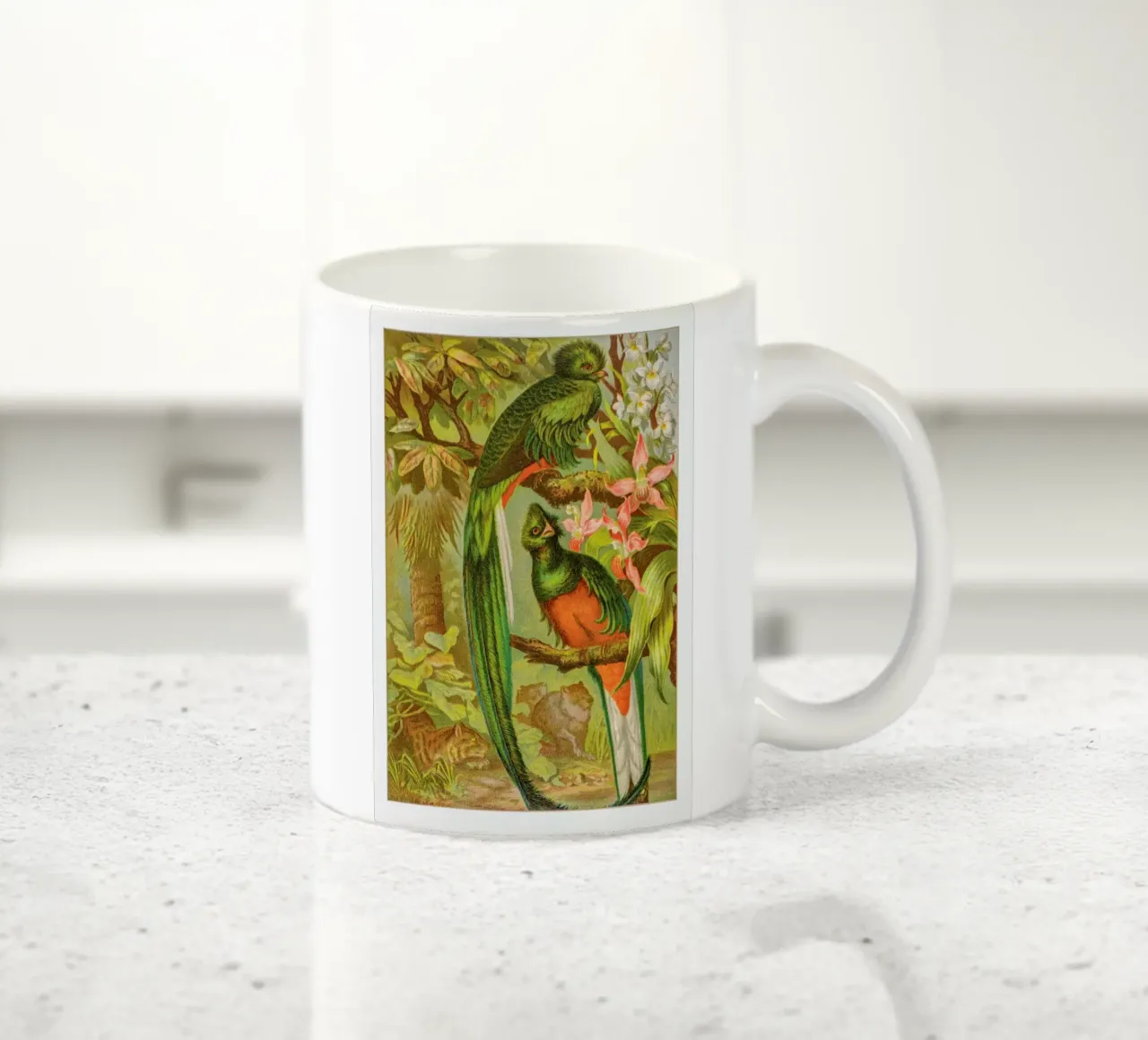 Native Birds tazza in ceramica da Flora & Fauna