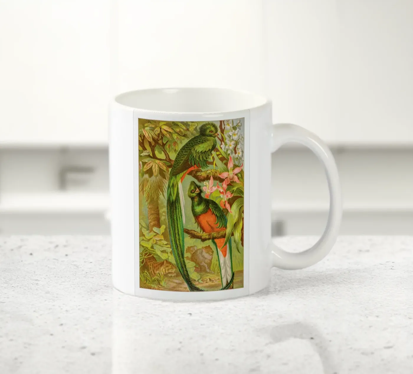 Native Birds ceramic mug by Flora & Fauna