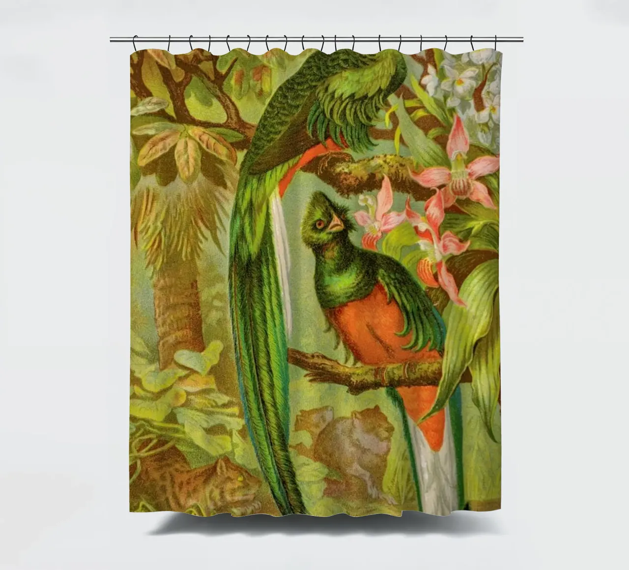 Native Birds tenda da doccia da Flora & Fauna
