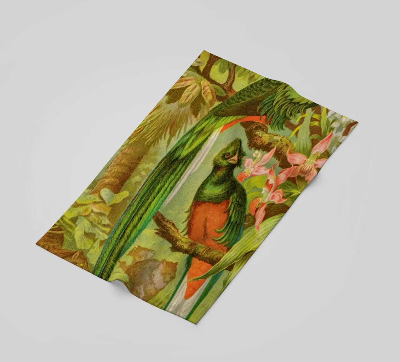 Native Birds telo mare da Flora & Fauna